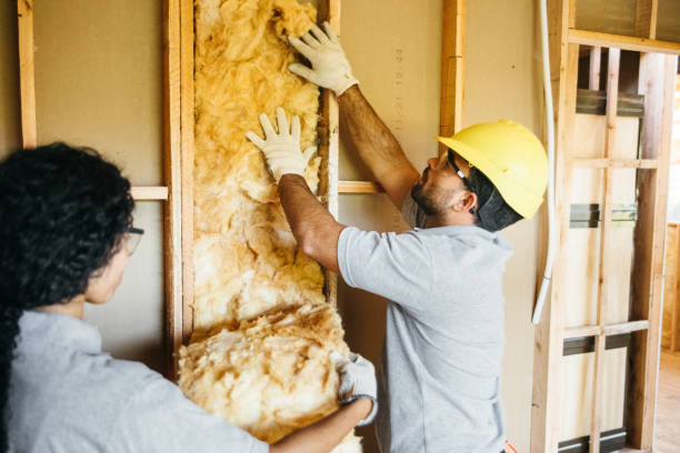 Best Soundproof Insulation  in Bellows Falls, VT